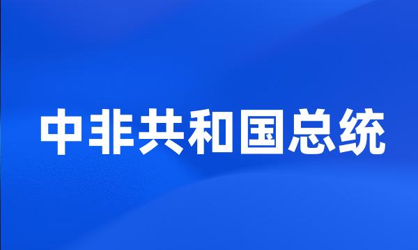 中非共和国总统