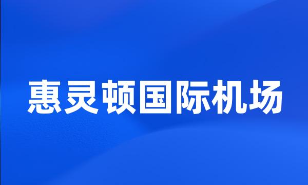 惠灵顿国际机场