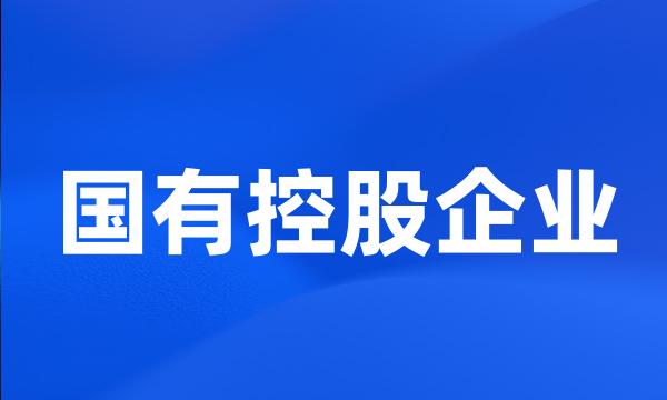 国有控股企业