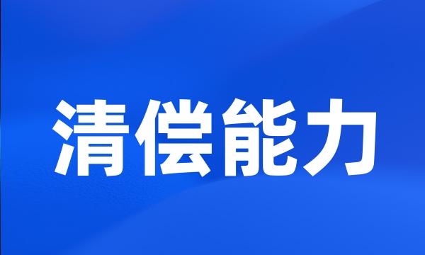 清偿能力