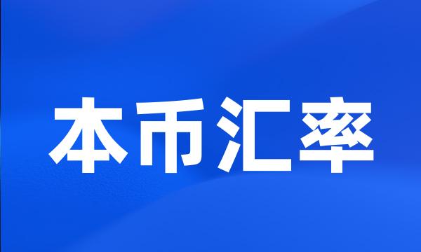 本币汇率