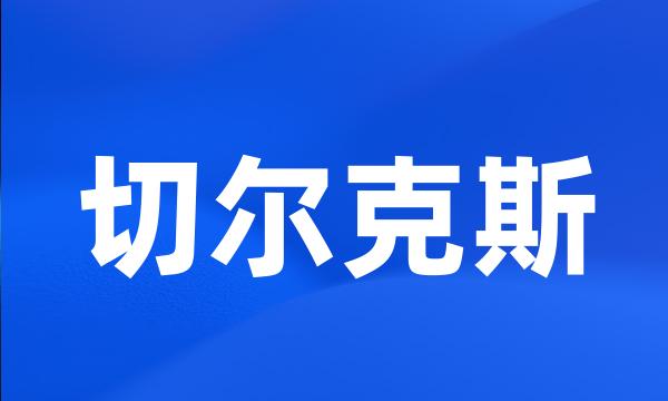 切尔克斯