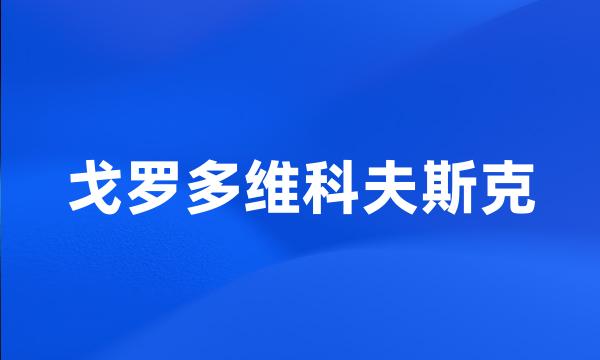 戈罗多维科夫斯克