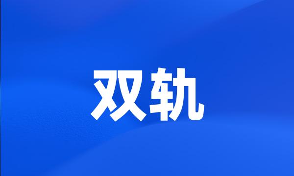 双轨