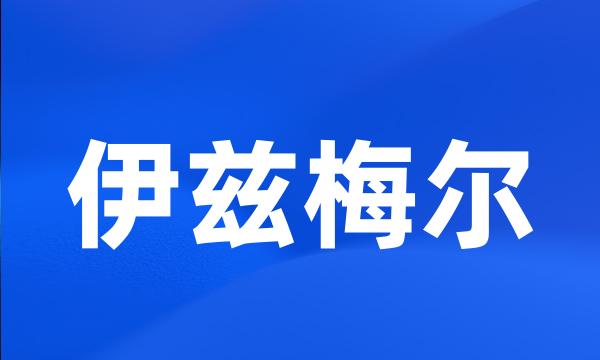 伊兹梅尔