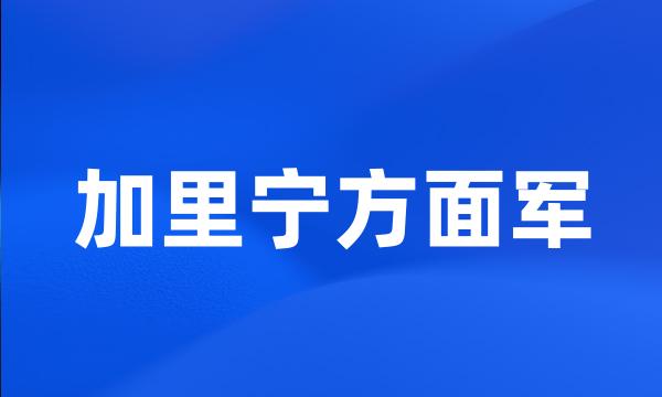 加里宁方面军