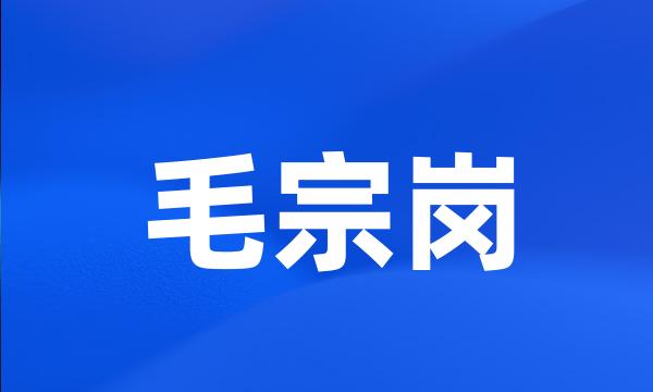 毛宗岗