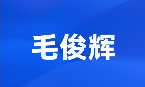 毛俊辉