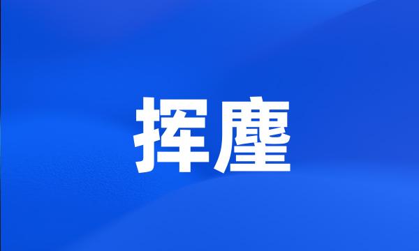 挥麈