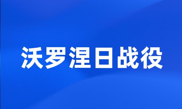 沃罗涅日战役