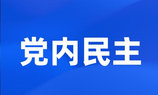 党内民主