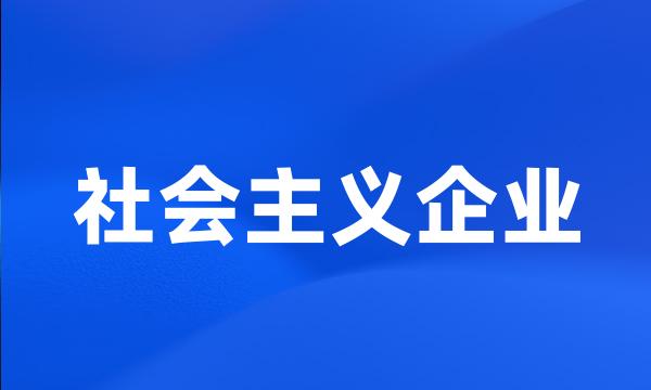 社会主义企业