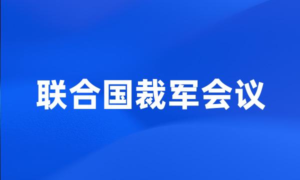 联合国裁军会议