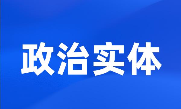 政治实体