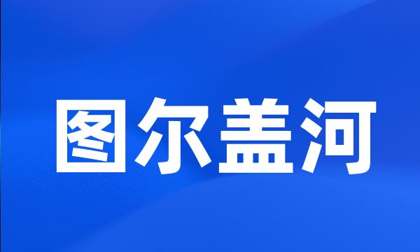 图尔盖河