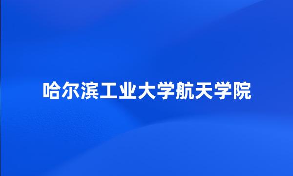 哈尔滨工业大学航天学院