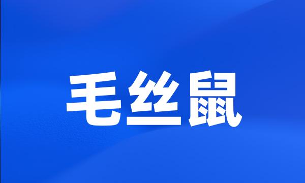 毛丝鼠