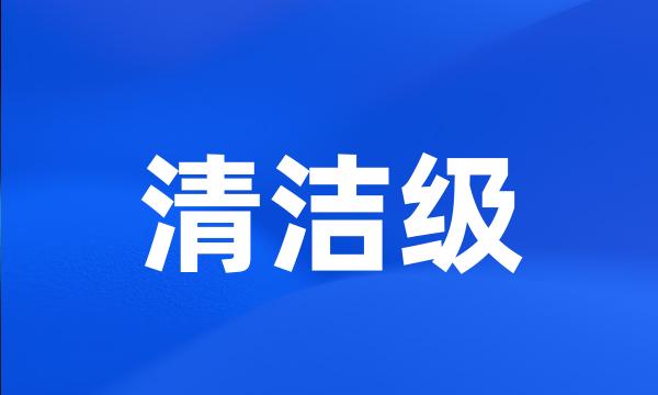 清洁级