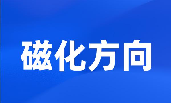 磁化方向