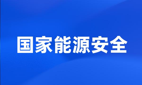 国家能源安全