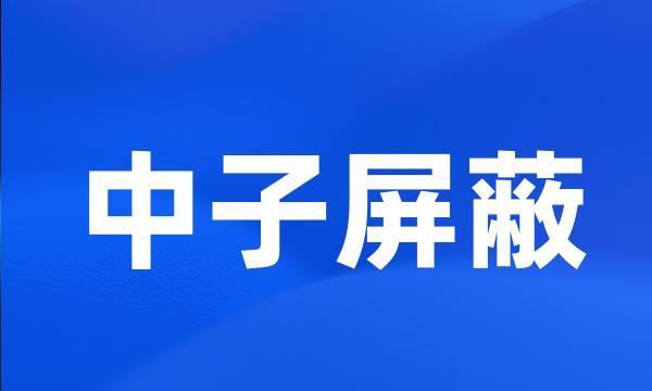 中子屏蔽