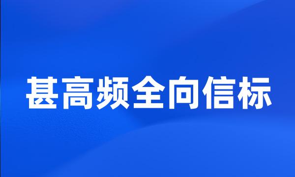 甚高频全向信标