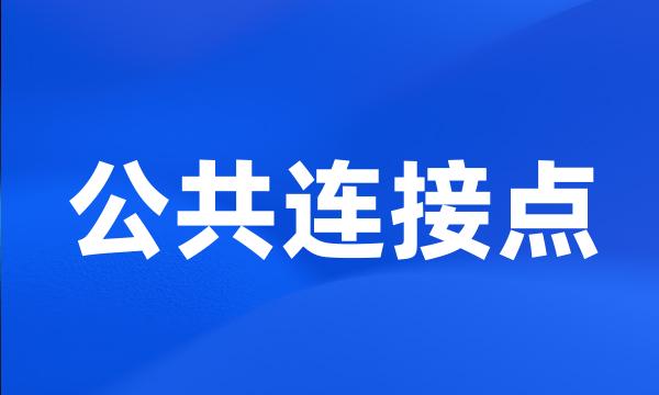 公共连接点