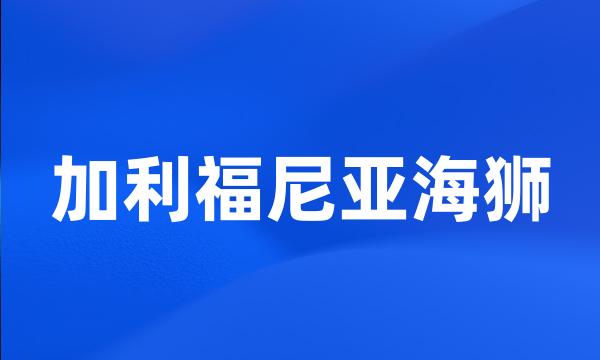 加利福尼亚海狮