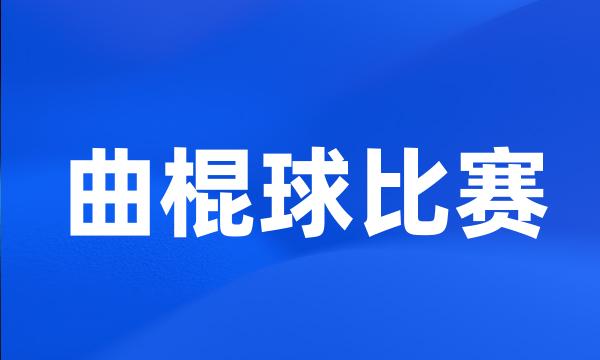 曲棍球比赛