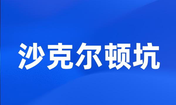 沙克尔顿坑