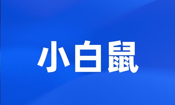 小白鼠