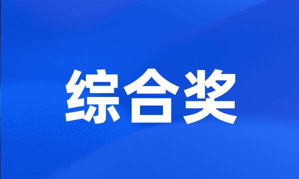 综合奖