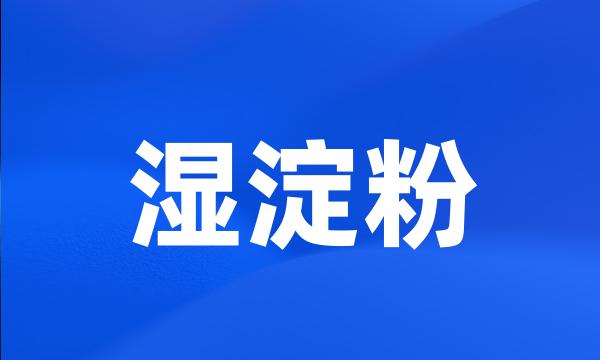 湿淀粉