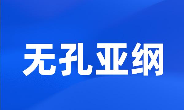 无孔亚纲