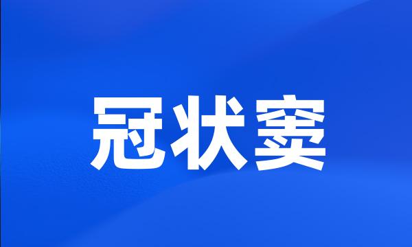 冠状窦