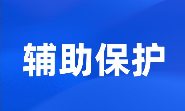 辅助保护