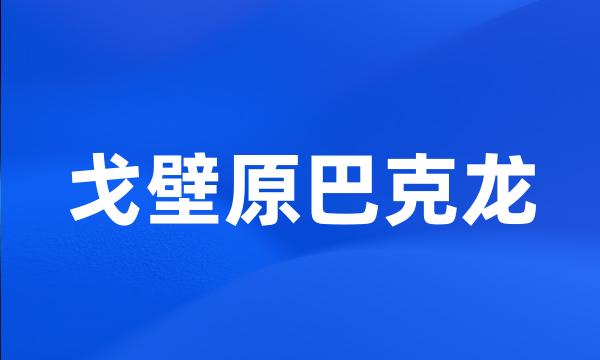 戈壁原巴克龙