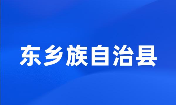 东乡族自治县