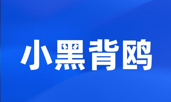 小黑背鸥