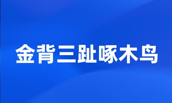 金背三趾啄木鸟