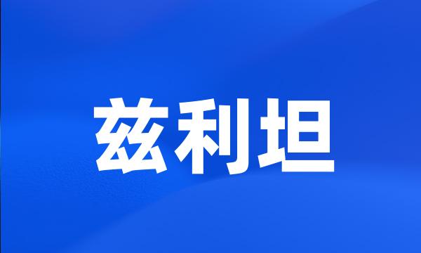 兹利坦