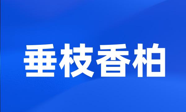 垂枝香柏