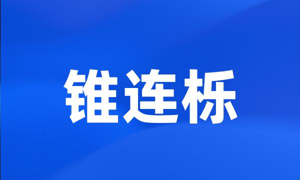 锥连栎