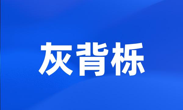 灰背栎