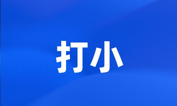 打小