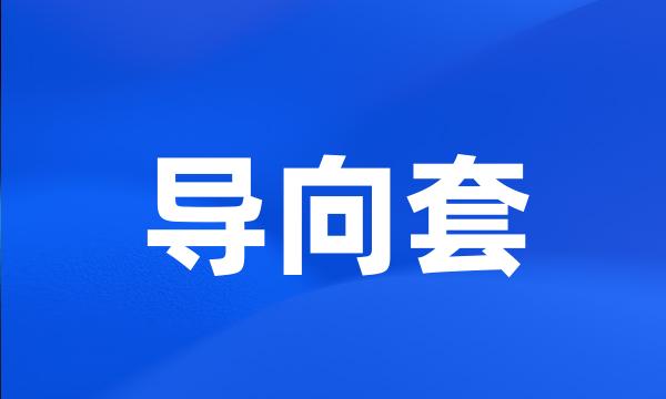 导向套