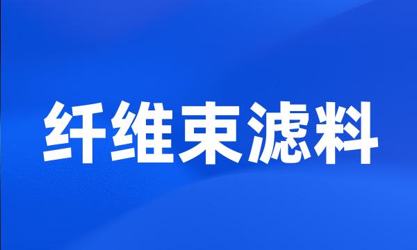 纤维束滤料