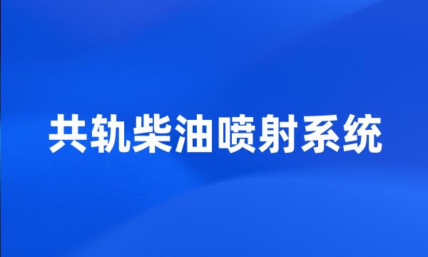 共轨柴油喷射系统