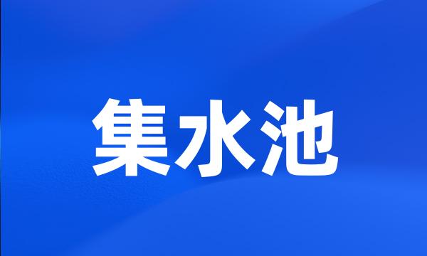 集水池