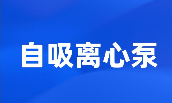 自吸离心泵